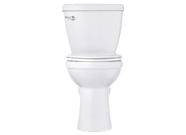 Toilet Buying Guide – What's Best For You?