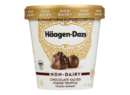 Haagen-Dazs Non-Dairy Frozen Dessert Chocolate Salted Fudge Truffle