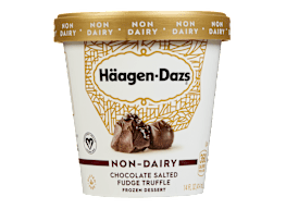 Haagen-Dazs Non-Dairy Frozen Dessert Chocolate Salted Fudge Truffle