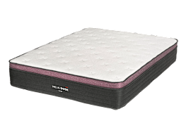 Mattress Cleaning with Kobold VK7S - Vanessa P 