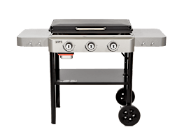 Ninja Woodfire Outdoor Grill Review - Hey Grill, Hey