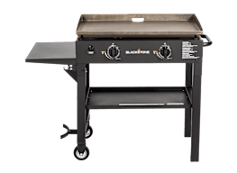 Best grill under 300 2025