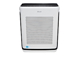 Best air purifiers 2024: Reviews and buying advice