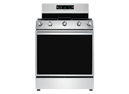 Consumer reports dual fuel ranges hot sale