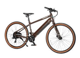 Consumer reports ebikes sale