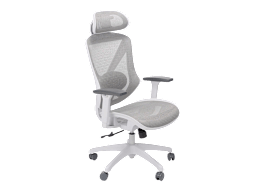 Staples Dexley Ergonomic Mesh Swivel Task Chair