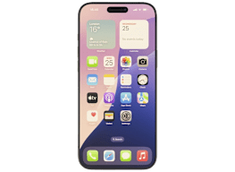 Apple iPhone 16 Pro Max (256GB)