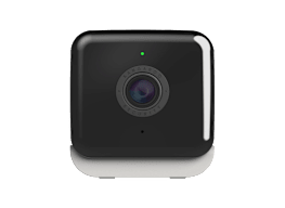 Kangaroo Indoor + Outdoor Cam