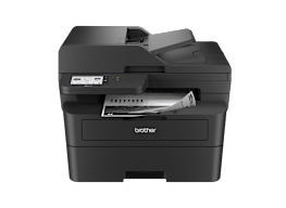 Brother MFC-L2900DW
