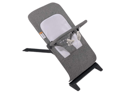 Baby Delight Alpine Deluxe Portable Bouncer