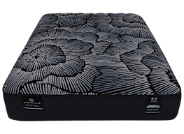 Serta Perfect Sleeper X   Knox