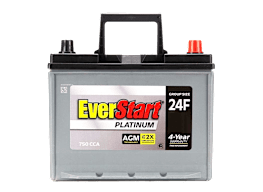 EverStart Platinum AGM 24F