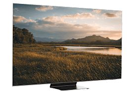 Samsung QN65S95F