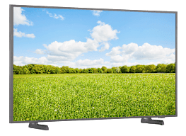 Samsung QN43LS03F