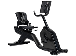 Schwinn 290