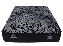 Serta Perfect Sleeper X  Excelled Hybrid  Plush