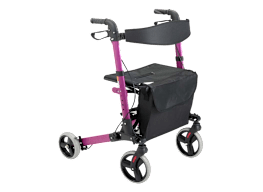 HealthSmart Walker Rollator