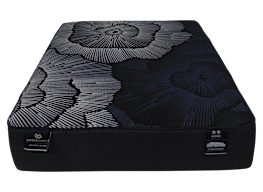 Serta Perfect Sleeper X Level Two