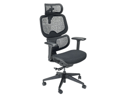 FlexiSpot Premium Ergonomic Office Chair (C7) 2025