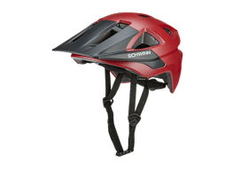Schwinn Axum