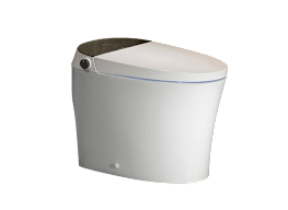 Canest Smart Toilet TC200GE