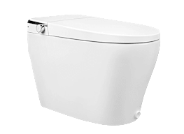 DeerValley Smart Toilet DV-1S0029