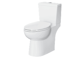 Project Source (Lowe's) MT-20211P