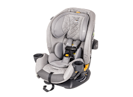 Chicco OneFit Max
