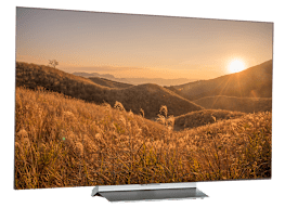 LG OLED55C6PUA
