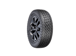 BFGoodrich Trail-Terrain T/A +