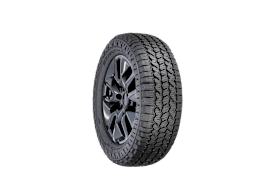 Bridgestone Dueler A/T Ascent