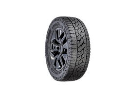 Goodyear Wrangler Outbound AT