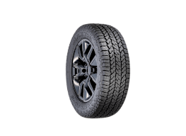 Maxxis RAZR AT-S