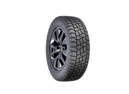 Nitto Terra Grappler G3