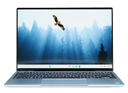 Dell XPS 13 (DX13260)