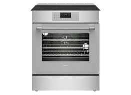 Thermador Masterpiece MRI304DL
